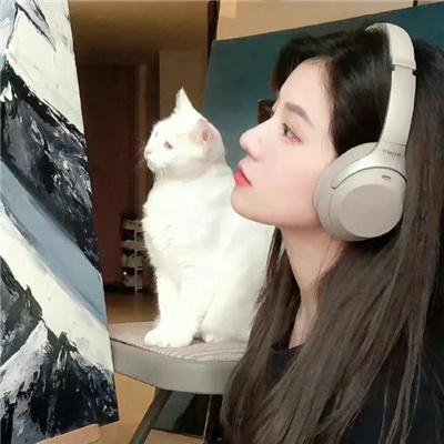 来自中国的熊猫